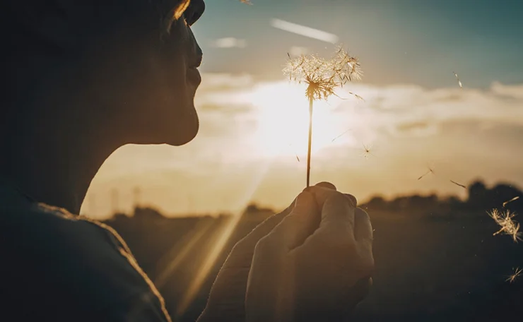 Frau mit Pusteblume vor Sonnenuntergang