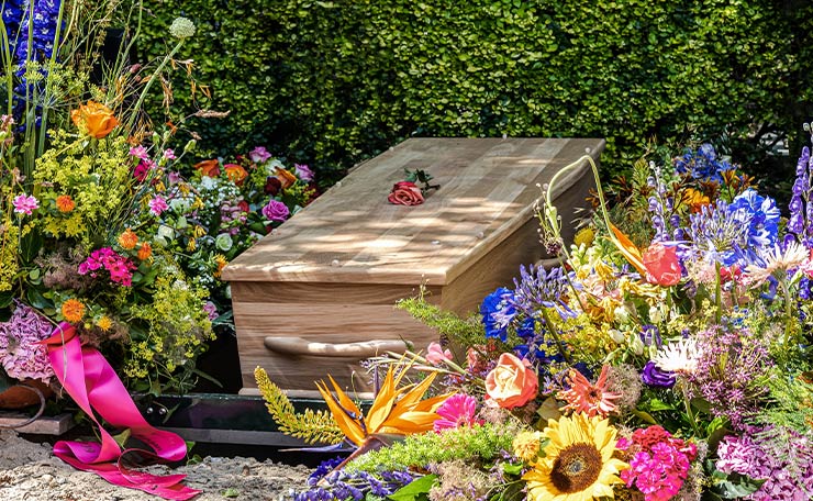 Holzsarg mit Wiesenblumen