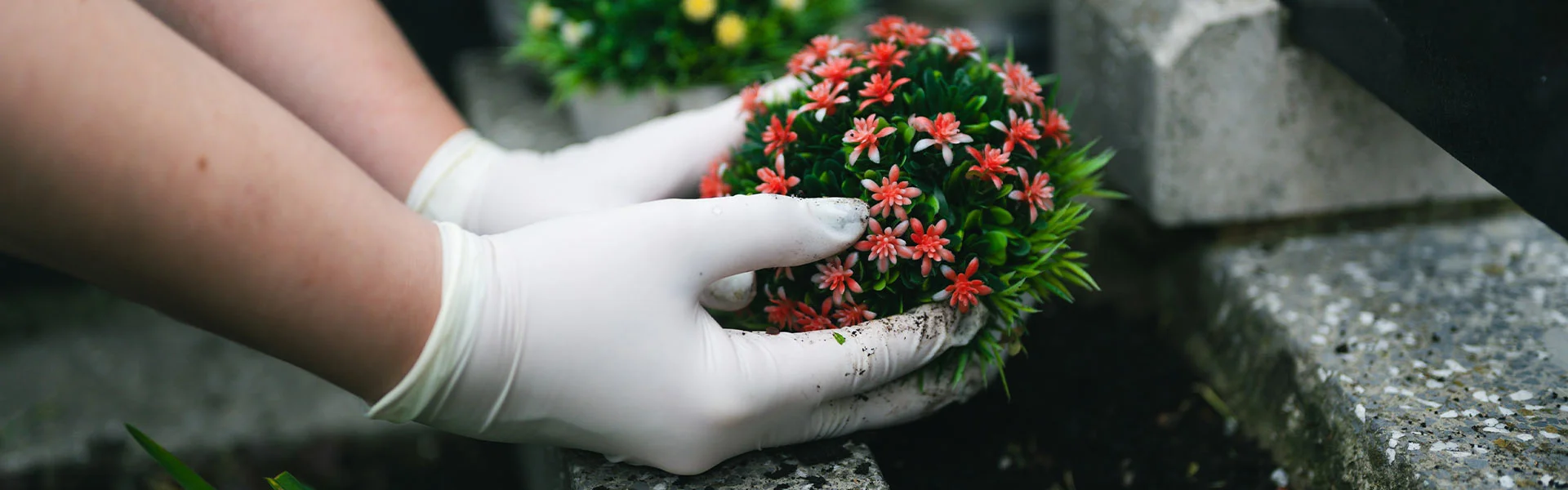 Grab wird mit Blumen geschmückt